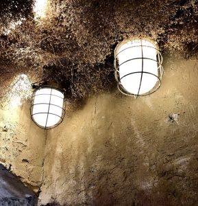 Textured ceiling decoration with custom industrial lighting fixtures and natural botanical elements in Dubai venue